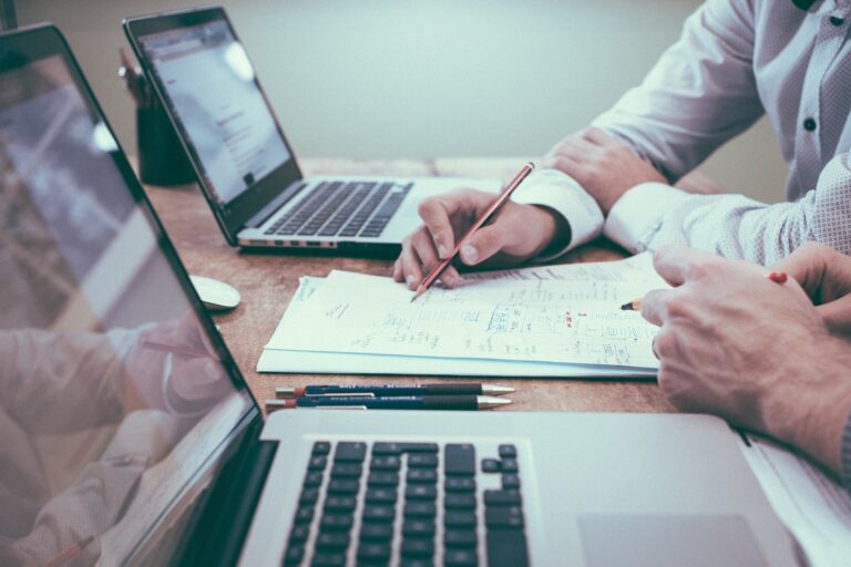 Who is the business plan intended for?